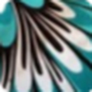 Meet your Posher, Audrey